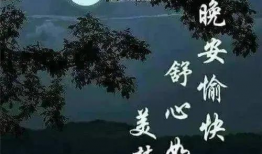 不再是朋友的夜晚动漫,揭秘“不再是朋友”的动漫之夜