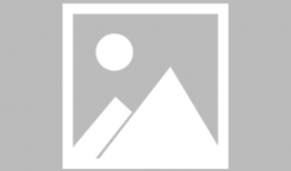 黄色理论视频,内容解析与影响探讨